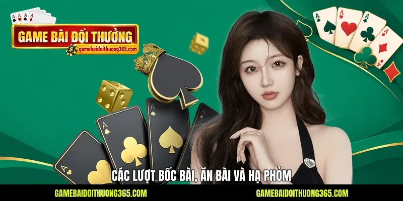 Các lượt bốc bài, ăn bài và hạ phỏm Các lượt bốc bài, ăn bài và hạ phỏm