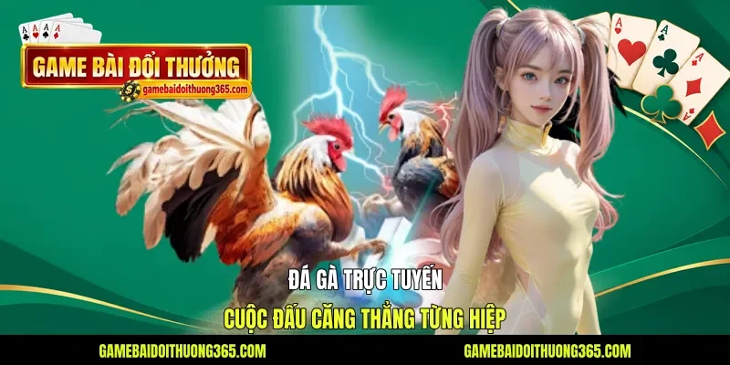 Đá Gà Trực Tuyến - Cuộc Đấu Căng Thẳng Từng Hiệp