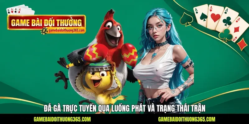 Đá gà trực tuyến qua luồng phát và trạng thái trận Đá gà trực tuyến qua luồng phát và trạng thái trận
